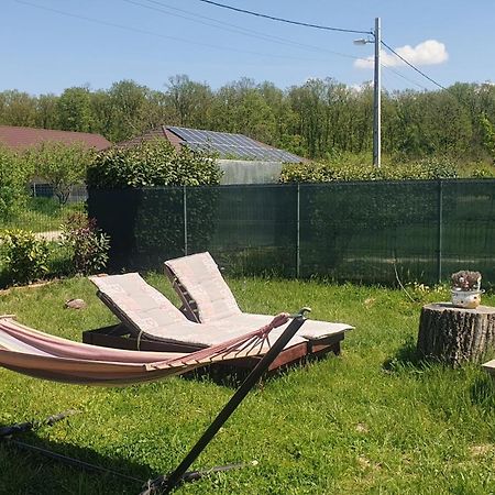 Forest Relax Near Oradea -Pet Friendly Les Exterior foto